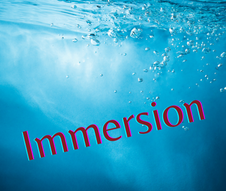 Immersion2