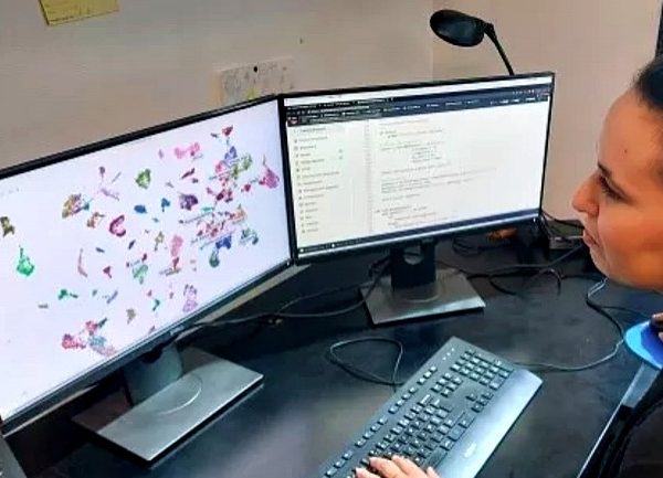 Pour les cancers d'origine inconnue, l'Institut Curie développe une IA dédiée