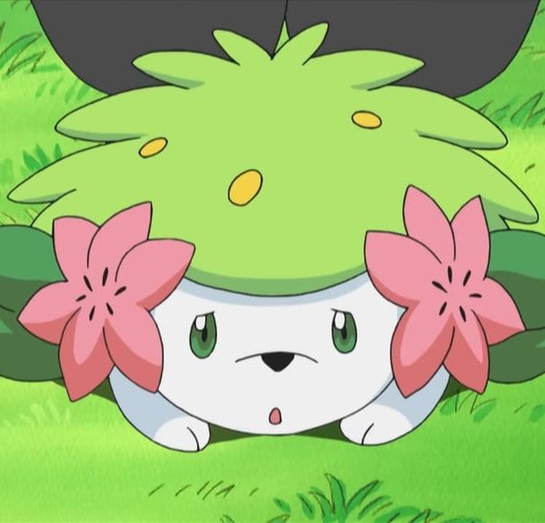 Ce deck dans Pokémon Pocket fait ravage ! Il est la botte secrète du top 1 monde en partie classée