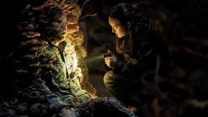 The Last of Us ? Un champignon infecte une famille américaine lors d'une excursion dans une grotte…