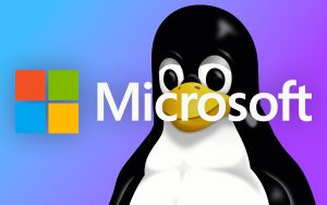 Microsoft s’impose, croyez-le ou non, comme le plus grand promoteur de Linux au monde