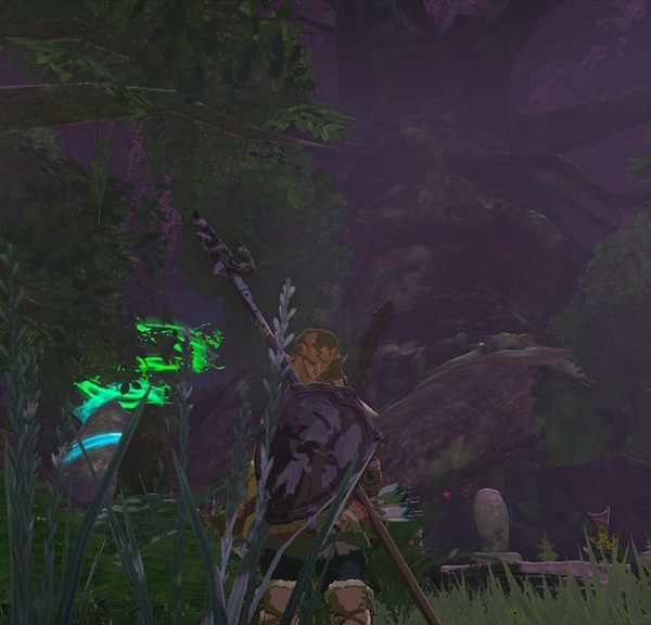 Forêt Korogu Zelda Tears of the Kingdom : Comment traverser les Bois Perdus ?