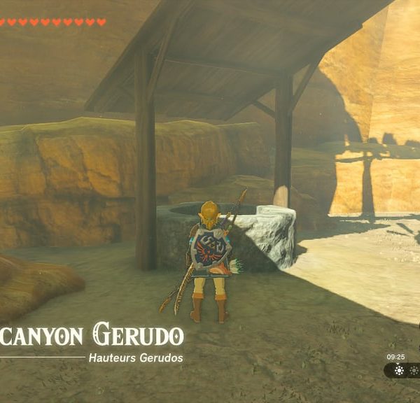 Puits Zelda Tears of the Kingdom : où sont-ils positionnés sur la carte d'Hyrule ?