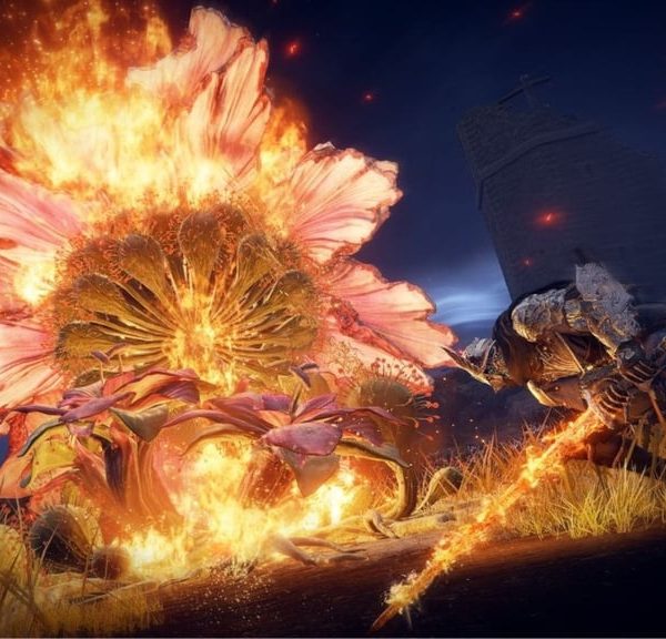 Elden Ring Nightreign : quels sont les meilleurs types d’armes pour les personnages ?