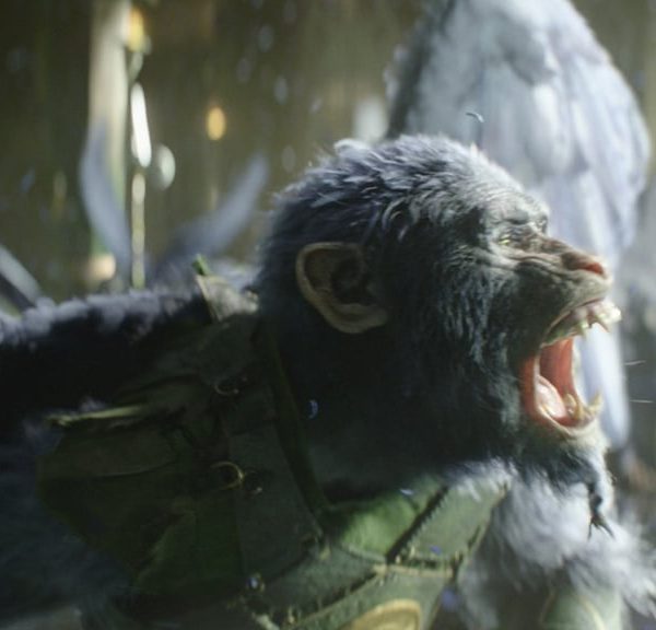Ce film fantastique a rapporté 750 millions au box office : 1 an après, sa suite sort déjà au cinéma !