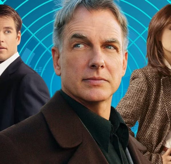 Le fils de la star de NCIS Mark Hamon tient un rôle depuis 12 ans sans que personne ne s'en rende compte