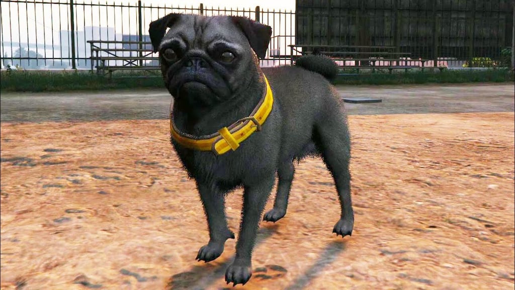 Carlin GTA Online : où trouver cette race de chien pour le défi de photographie ?