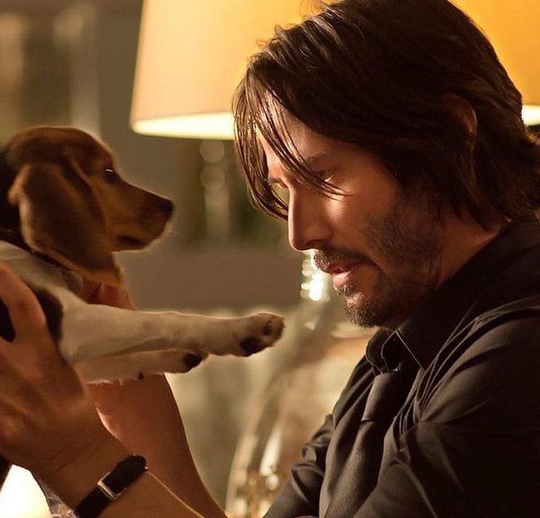 Est-ce que le chien meurt dans le film ? Ayez le bon réflexe pour vos soirées ciné si vous ne voulez pas pleurer !