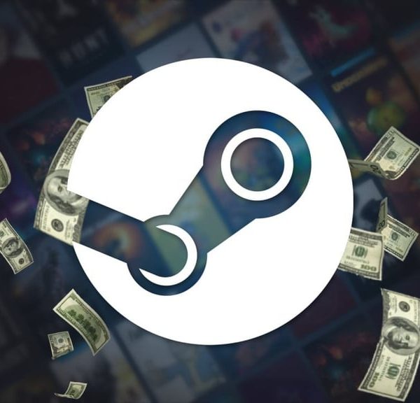 “Plus de 500 000 € dans sa bibliothèque Steam. Lorsque l’on aime…”