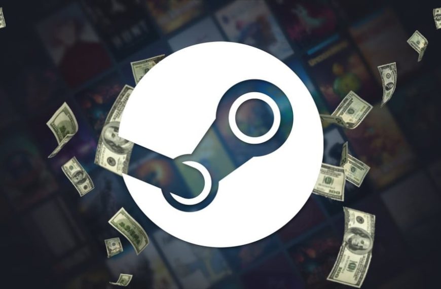 “Plus de 500 000 € dans sa bibliothèque Steam. Lorsque l’on aime…”