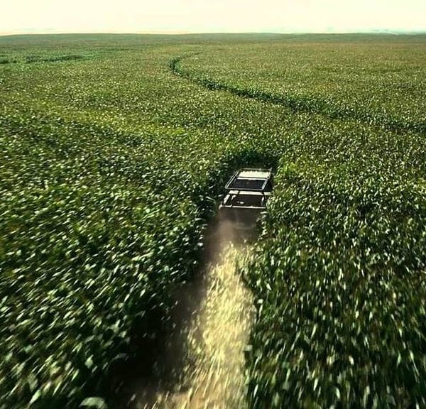 Pour rendre Interstellar plus réaliste, Christopher Nolan a planté 2000 tonnes de maïs. Vous ne devinerez jamais ce qu'il en a fait par la suite !