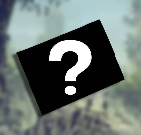 480€ pour un portefeuille de jeu vidéo, c'est plus cher qu'un Louis Vuitton… Ils vendent des produits à des prix exorbitants !