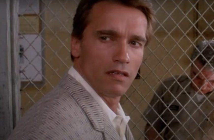 “Plus de 40 millions de dollars” Le film qui a rapporté le plus d'argent à Arnold Schwarzenegger n'est pas un film d’action !