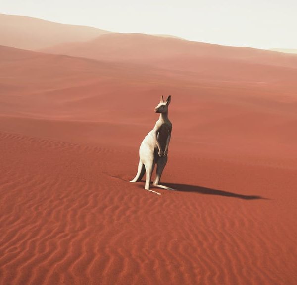 Animaux albinos Death Stranding 2 : où en trouver pour effectuer le trophée Sauveteur d’animaux rares ?