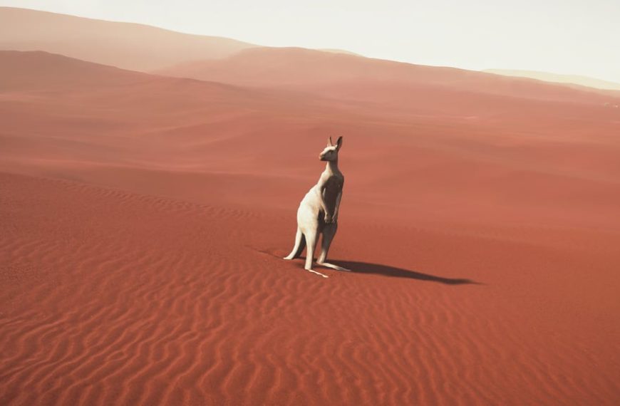 Animaux albinos Death Stranding 2 : où en trouver pour effectuer le trophée Sauveteur d’animaux rares ?
