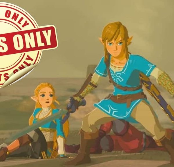 Saviez-vous que le site officiel Zelda était à l'origine… un site pour adultes ?