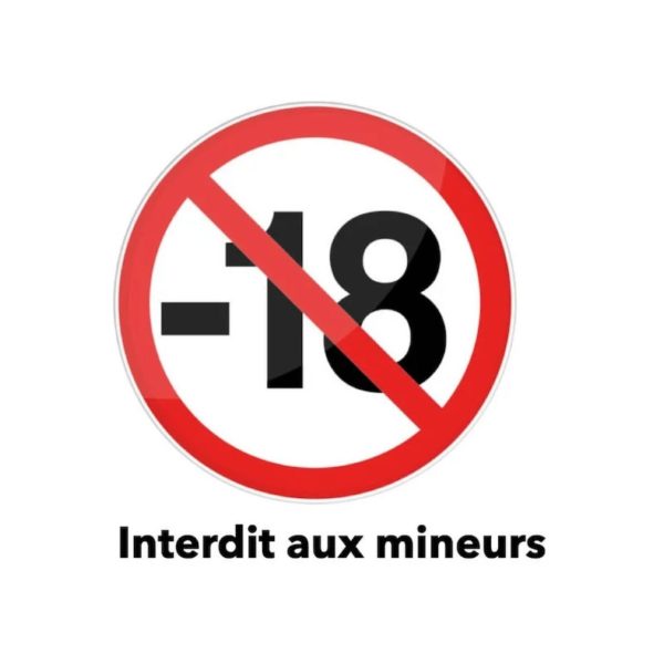 Vérification de l’âge des internautes : ce site porno gagne une manche devant la justice française