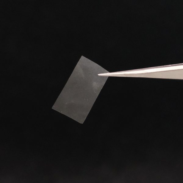 Remplacer le plastique par un matériau comestible et vivant ? Ce n’est pas de la science-fiction