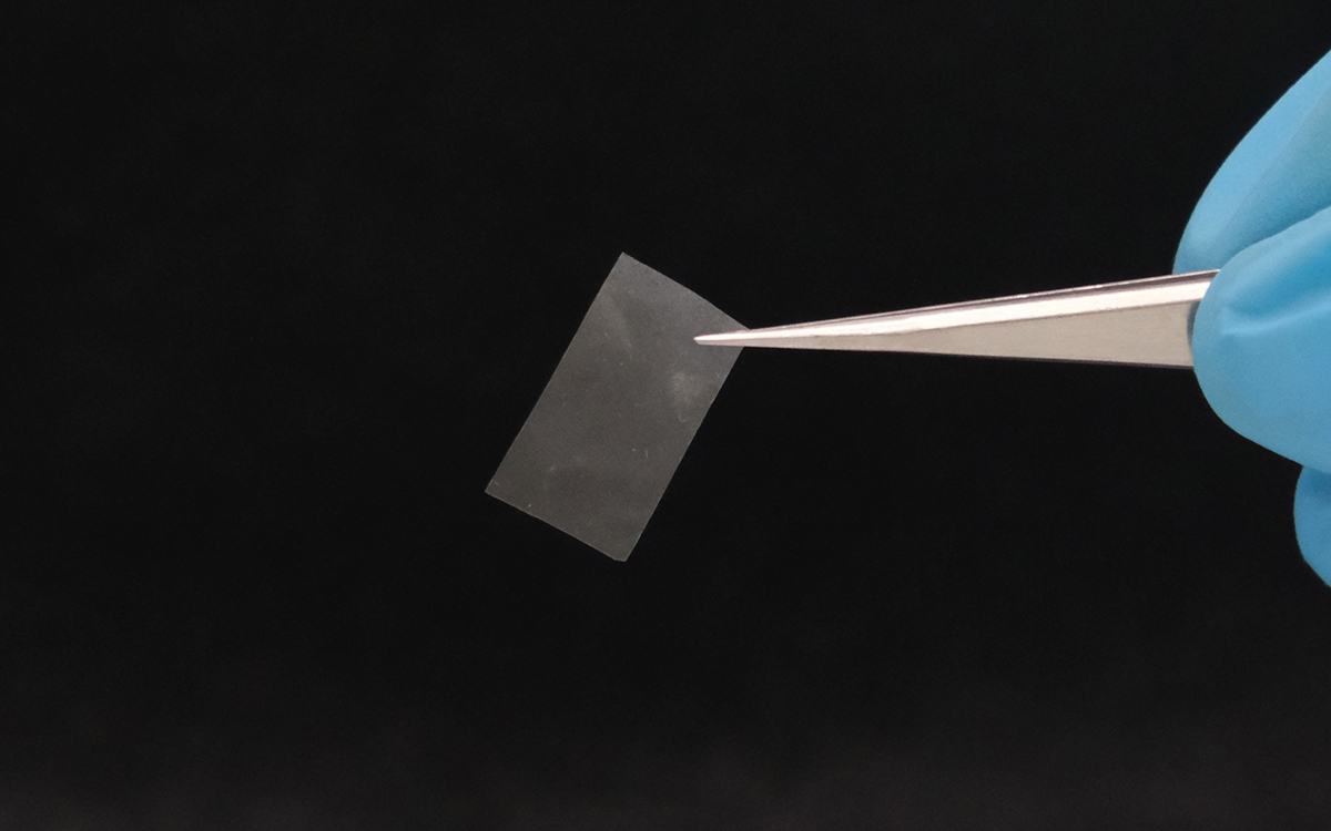 Remplacer le plastique par un matériau comestible et vivant ? Ce n’est pas de la science-fiction