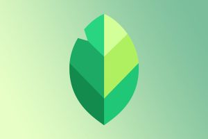 Surprise, Google déploie une mise à jour majeure de Snapseed sur l’iPhone