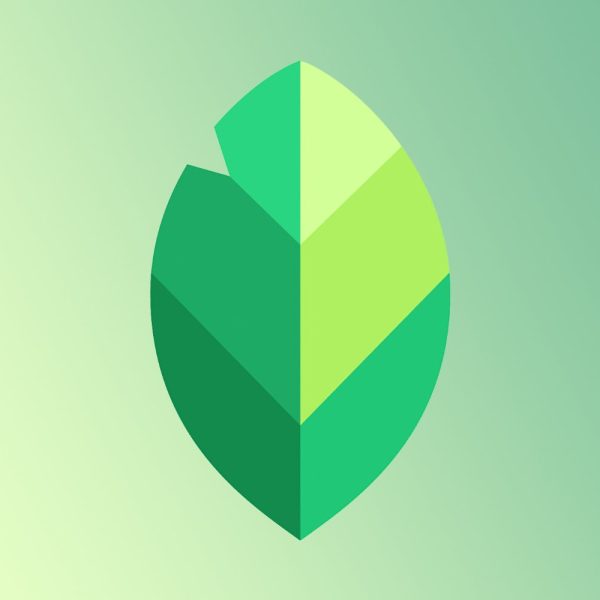 Surprise, Google déploie une mise à jour majeure de Snapseed sur l’iPhone