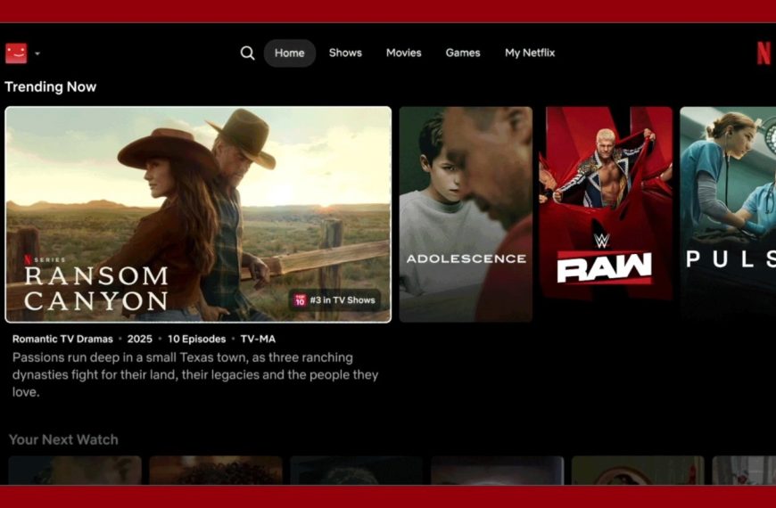 La nouvelle interface de Netflix ne fait pas que des heureux