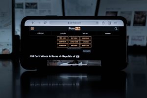 Blocage de Pornhub, RedTube et YouPorn : la France se jette sur les VPN