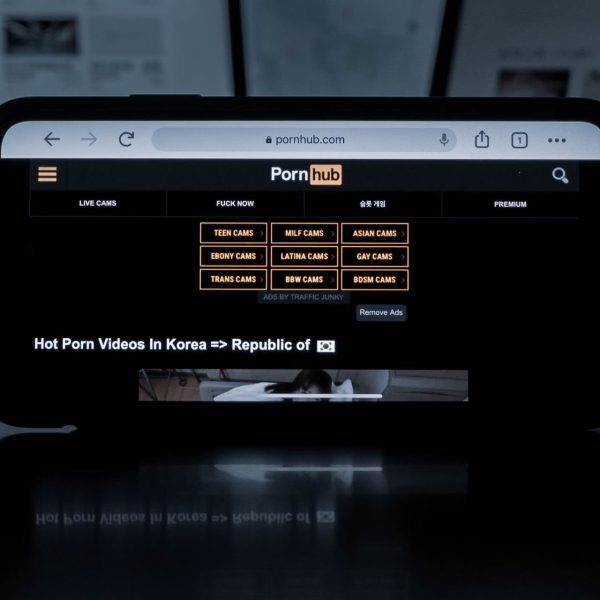 Blocage de Pornhub, RedTube et YouPorn : la France se jette sur les VPN