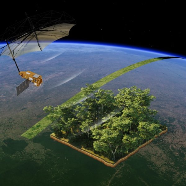 Ce satellite en forme de parapluie dévoile des images spectaculaires des forêts de la Terre