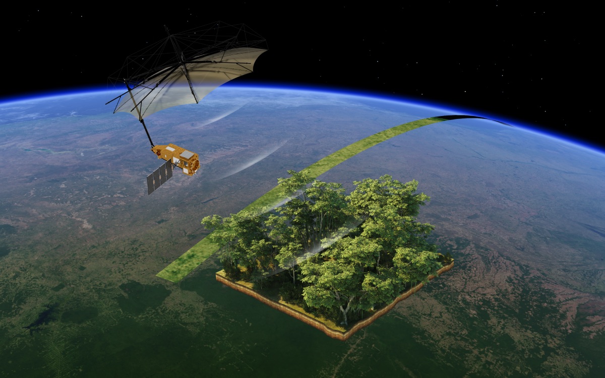 Ce satellite en forme de parapluie dévoile des images spectaculaires des forêts de la Terre