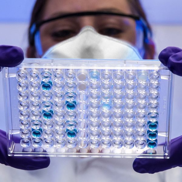 ChatGPT et les « armes biologiques » : OpenAI craint que l’IA facilite la création de nouveaux virus