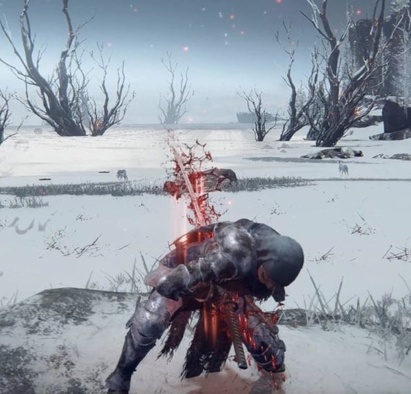 Seppuku Elden Ring : Où trouver cette cendre de guerre et comment l’équiper ?
