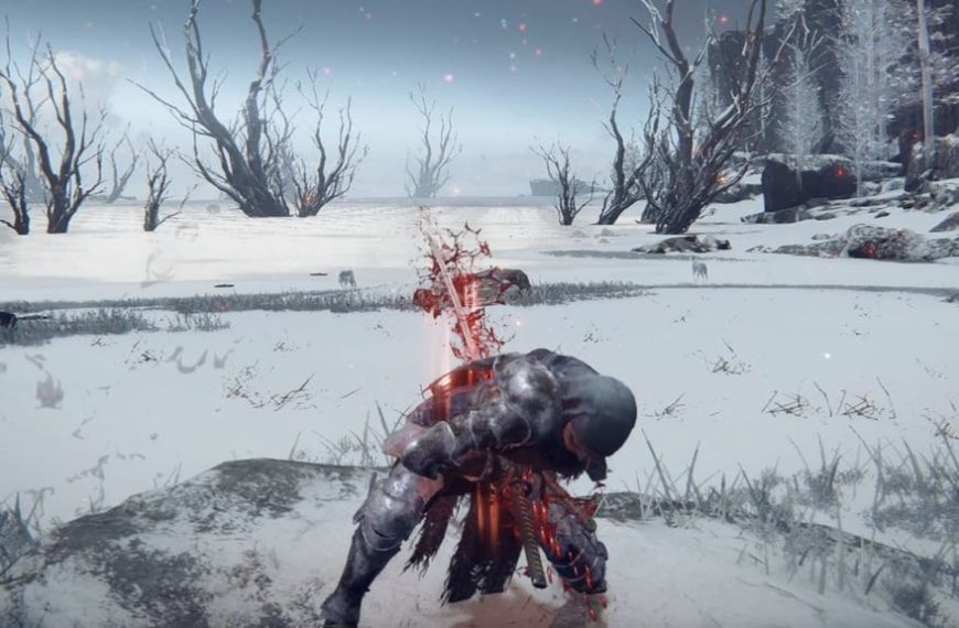Seppuku Elden Ring : Où trouver cette cendre de guerre et comment l’équiper ?