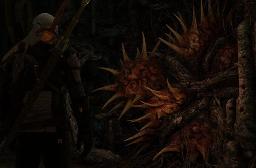 Colline Dolente The Witcher 3 : quels sont les meilleurs choix et quelles en sont les conséquences ?