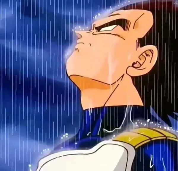C'est la pire nouvelle de l'année pour les fans de Dragon Ball, ça va être dur…