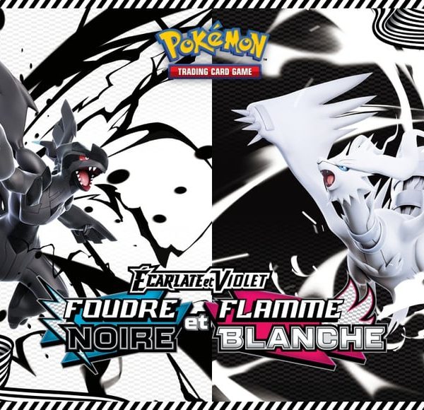 Pokémon TCG : Combien de boosters pour décrocher une rare ? Les taux de l'extension Foudre Noire et Flamme Blanche révélés !