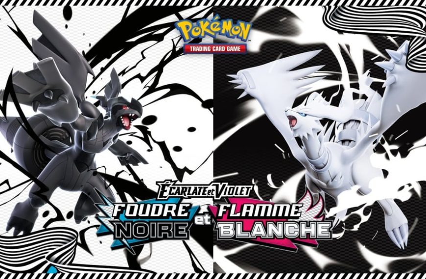 Pokémon TCG : Combien de boosters pour décrocher une rare ? Les taux de l'extension Foudre Noire et Flamme Blanche révélés !