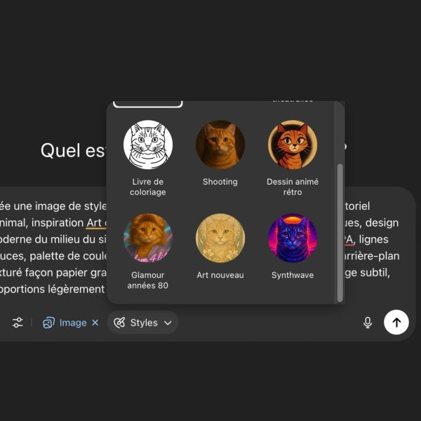 ChatGPT : le générateur d’images s’améliore avec des Styles par défaut