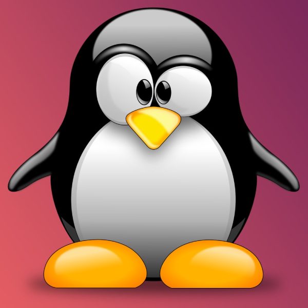 Linux passe un cap symbolique