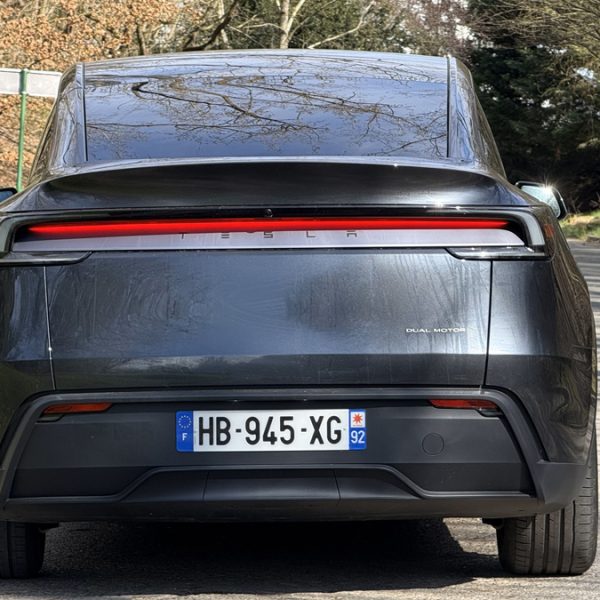 Sa Tesla veut aller se baigner toute seule, il doit sauter sur les freins pour éviter le plongeon + vidéo