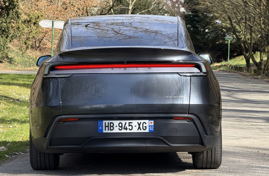 Sa Tesla veut aller se baigner toute seule, il doit sauter sur les freins pour éviter le plongeon + vidéo