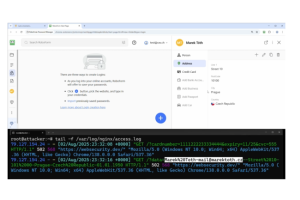 Telex : AWS lance des instances sur Xeon 6 d'Intel, Les gestionnaires de mots de passe vulnérables, Databricks en passe de lever 1 Md$