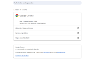 L'IA de Google détecte une faille critique dans Chrome
