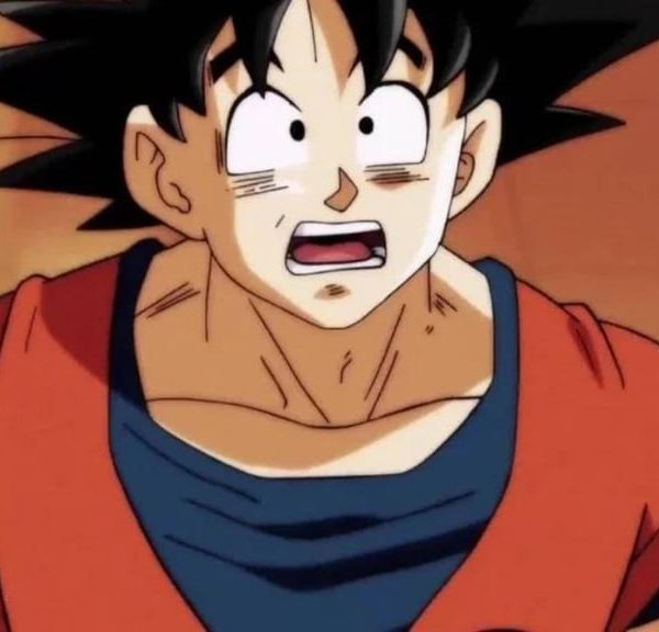 Dragon Ball : Personne ne savait que ces deux personnages étaient frère et sœur et je trouve ça dingue !