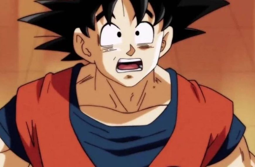 Dragon Ball : Personne ne savait que ces deux personnages étaient frère et sœur et je trouve ça dingue !