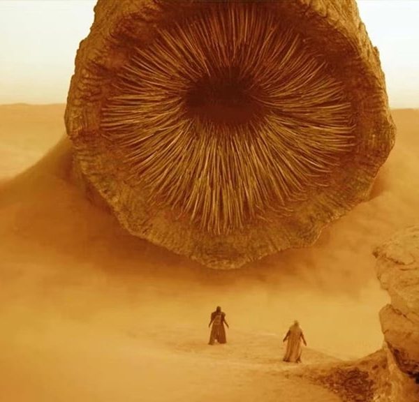 Cette star est prête à tous les sacrifices pour le tournage de Dune 3 : ça faisait 6 ans que ça ne lui était pas arrivé