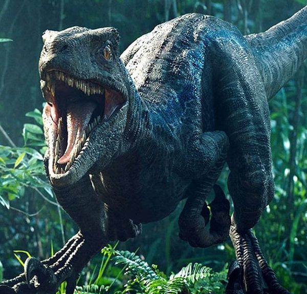 Cette star fait un caméo de 1 seconde dans Jurassic World : forcément personne ne l'a vu !