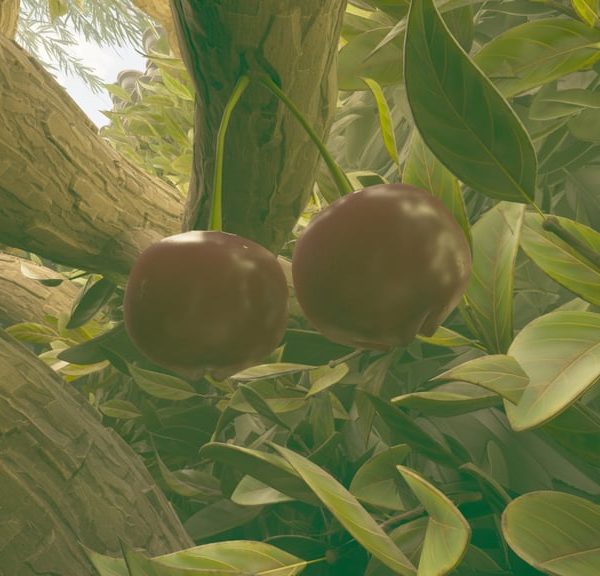 Airelles Grounded 2 : où en trouver et comment les récolter ?