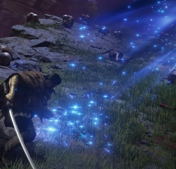 Samouraï stats Elden Ring : quels points attribuer pour jouer cette classe de façon optimale ?