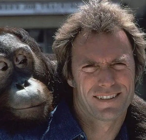 "Le plus décevant" Noté 20%, c'est le pire film de toute la carrière de Clint Eastwood